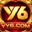 yy6
